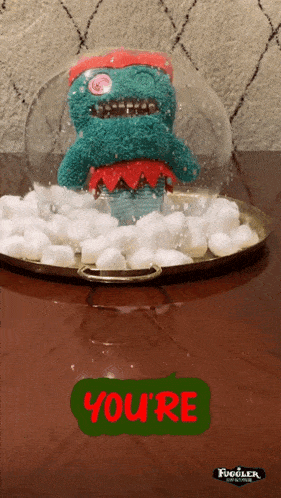 a stuffed animal in a snow globe with the words you 're written on it