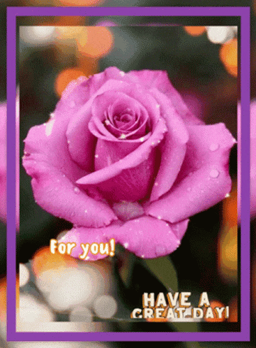 a picture of a purple rose with the words for you have a great day