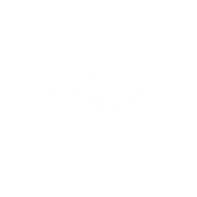the word np is on a white background and the year is 2019