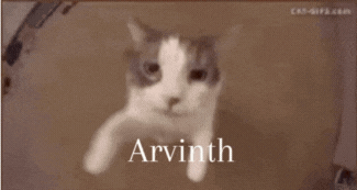 Arvinth Cat GIF - Arvinth Cat Arvinth GIFs