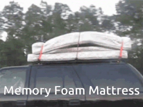 Memory Foam Mattress Humping GIF - Memory Foam Mattress Humping Mattress GIFs