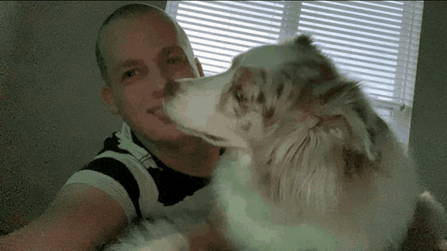 a man holds a brown and white dog in his lap