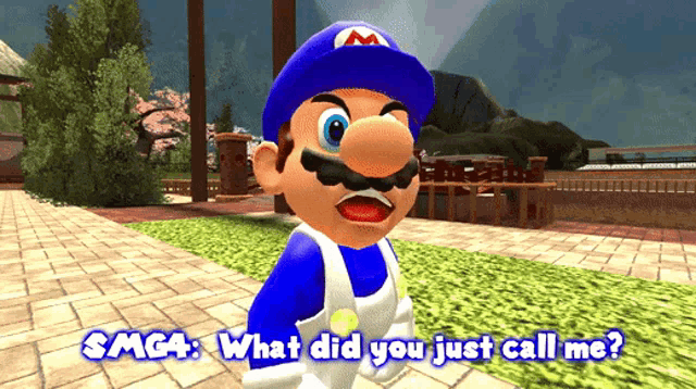 a video game character named smg4 is asking what did you just call me