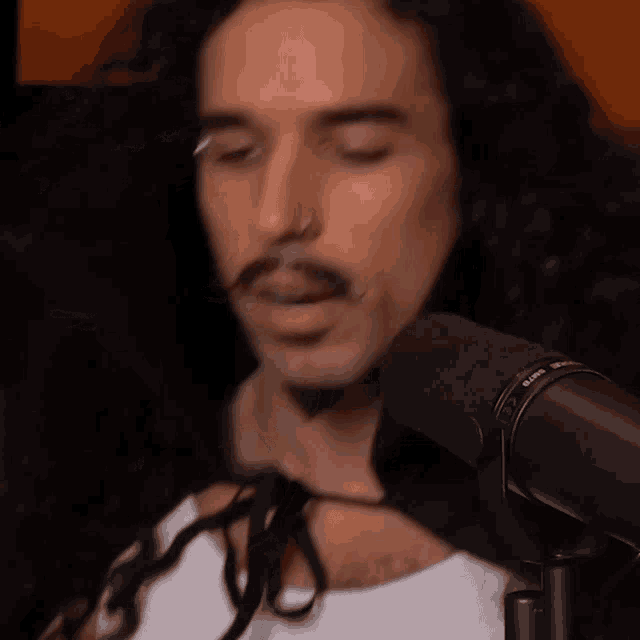a man with long hair and a mustache is singing into a microphone