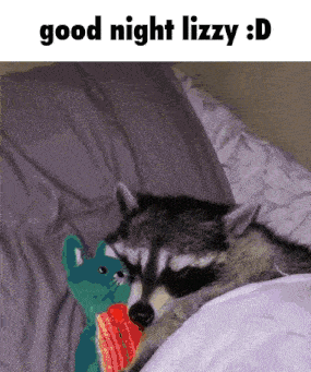 a raccoon laying on a bed with a stuffed animal and the words good night lizzy : d