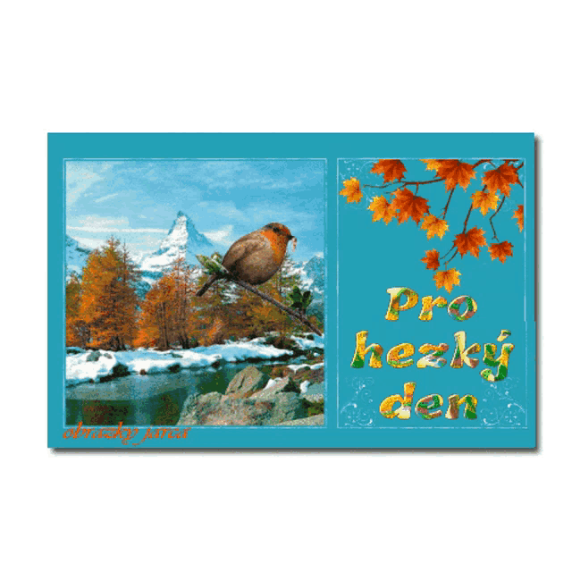 a picture of a bird sitting on a branch with the words pro hezky den