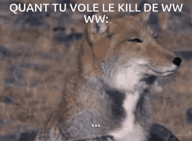 a picture of a fox with the words quant tu vole le kill de ww ww written below it
