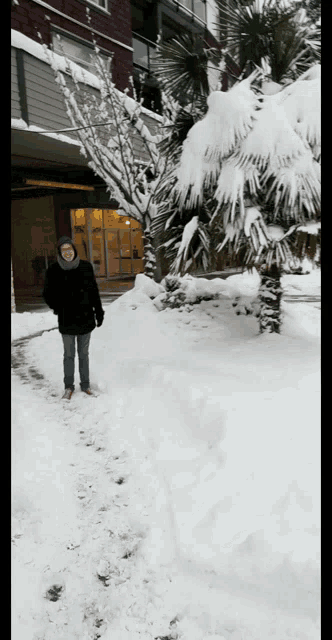 Jona Palm Tree GIF