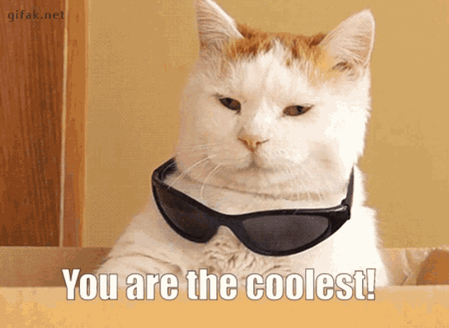 You Are The Coolest Alex GIF - You Are The Coolest Alex Chmurax GIFs