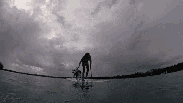 a man and a dog are on a surfboard in the water