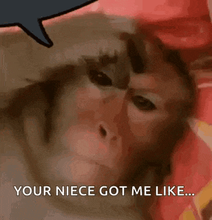 a close up of a monkey with a speech bubble that says `` your niece got me like '' .