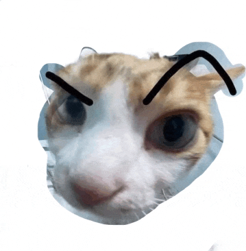 a close up of a cat 's face with a black line drawn on its eyebrows