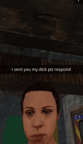 a screenshot of a video game with a caption that says i sent you my dick plz respond