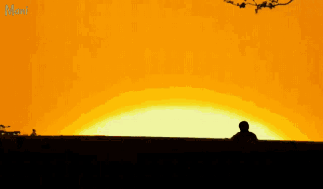 a silhouette of a person sitting in front of a sunset with the word mami on the bottom left