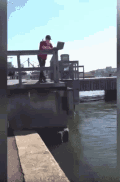 a man in a red shirt is standing on a dock looking at a laptop