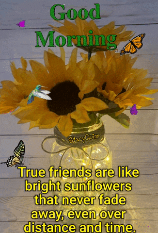 a picture of a sunflower in a mason jar with butterflies and the words good morning