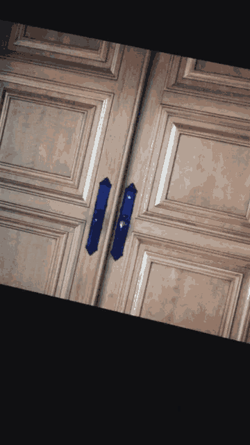 a close up of a door with a black handle