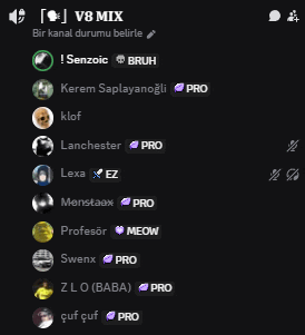 a screenshot of a v8 mix chat with a bunch of people