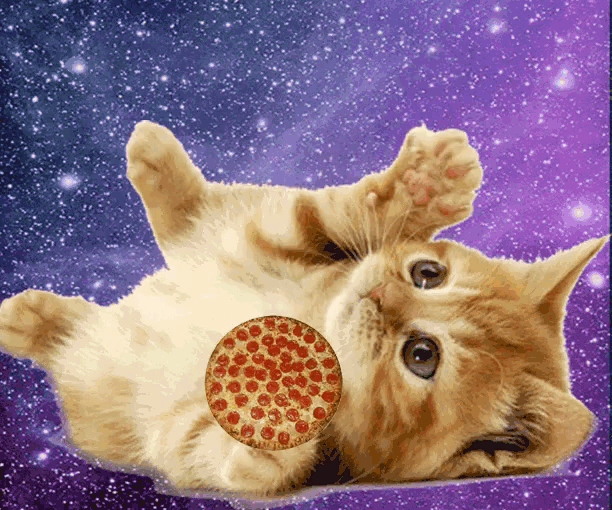 a cat laying on its back with a pizza on its chest