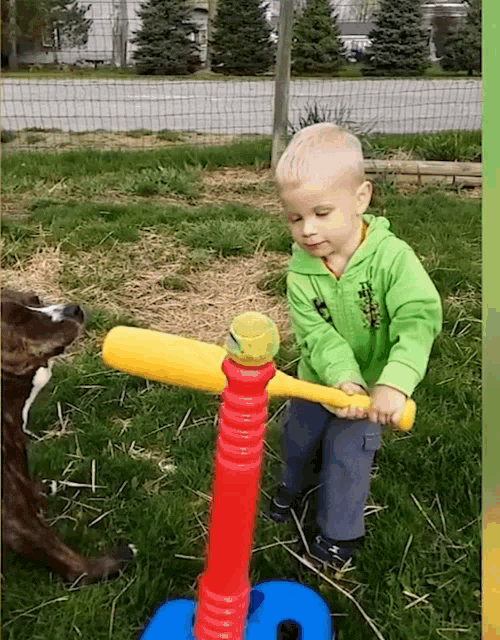 a little boy in a green jacket is playing with a toy bat and tennis ball