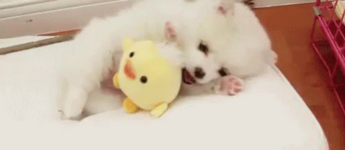Wholesome GIF - Wholesome Innocent Cute GIFs