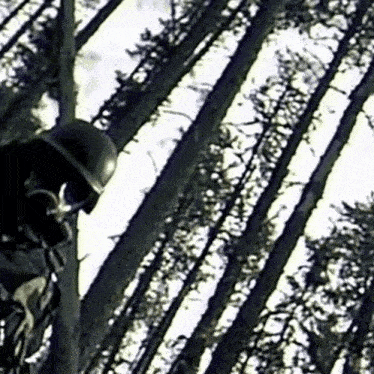 a man wearing a helmet is standing in a tree