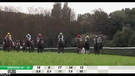キズナ 競馬 GIF - Kizuna Keiba Horse Racing GIFs