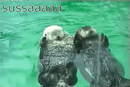 Sussa GIF - Sussa Floating Chilling GIFs