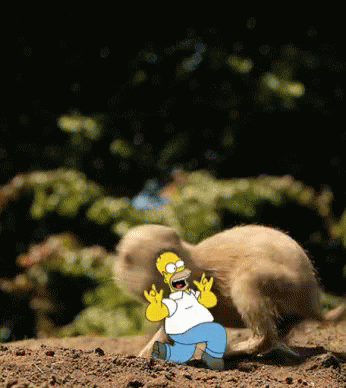 Homer Groundhog GIF - Homer Groundhog Round N Round GIFs