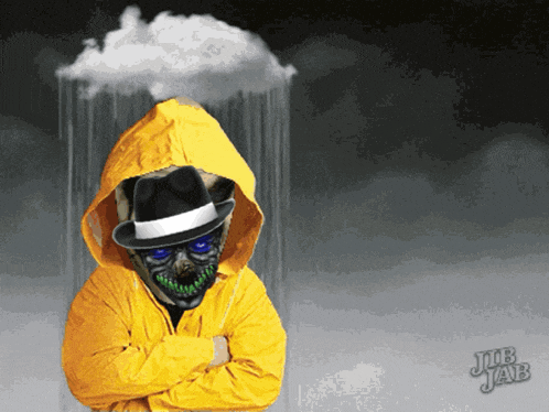 a pug wearing a yellow raincoat and a hat is standing in the rain with jub jab written on the bottom right