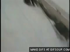 Loser Ski GIF - Loser Ski Jump GIFs