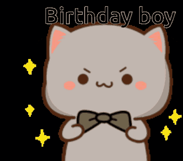a cartoon cat with a bow tie and the words birthday boy above it