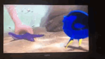 a blue bird is standing next to a starfish on the beach