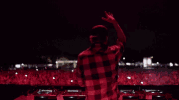 Avicii GIF