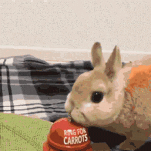Rabbit Carrot Bunny Bell GIF - Rabbit Carrot Bunny Bell GIFs