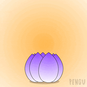 a penguin sits in a lotus flower with the words good morning