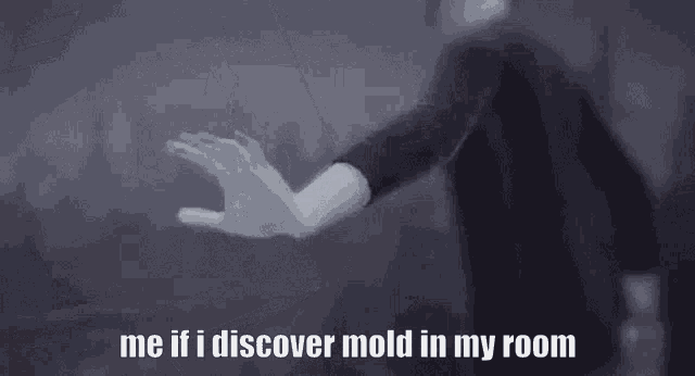 Me If I Discover Mold In My Room Mold GIF - Me If I Discover Mold In My Room Mold Life Is Strange GIFs