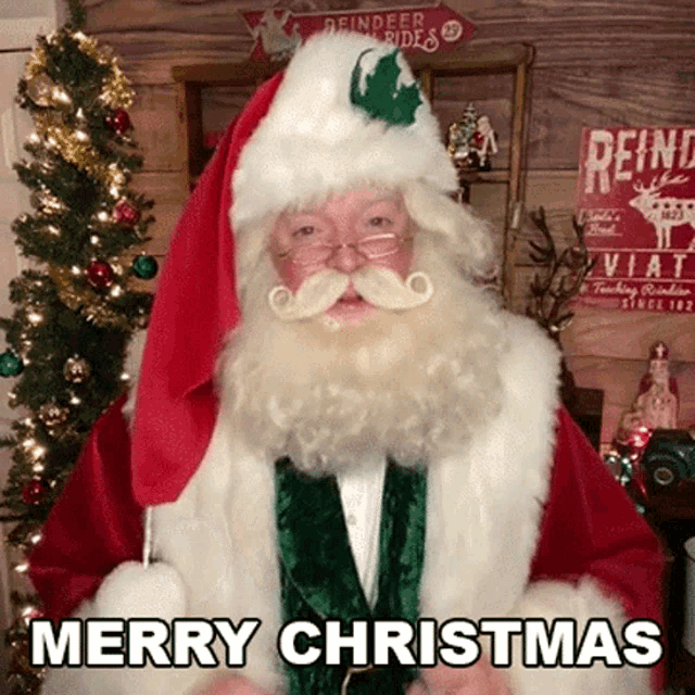 Merry Christmas Cameo GIF - Merry Christmas Cameo Christmas Is Coming GIFs