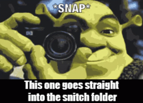 D2 Snitch Folder GIF - D2 Snitch Folder Snap GIFs