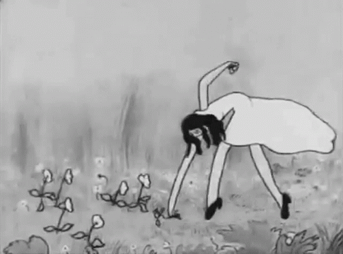 Flowers Black And White GIF - Flowers Black And White Cute GIFs