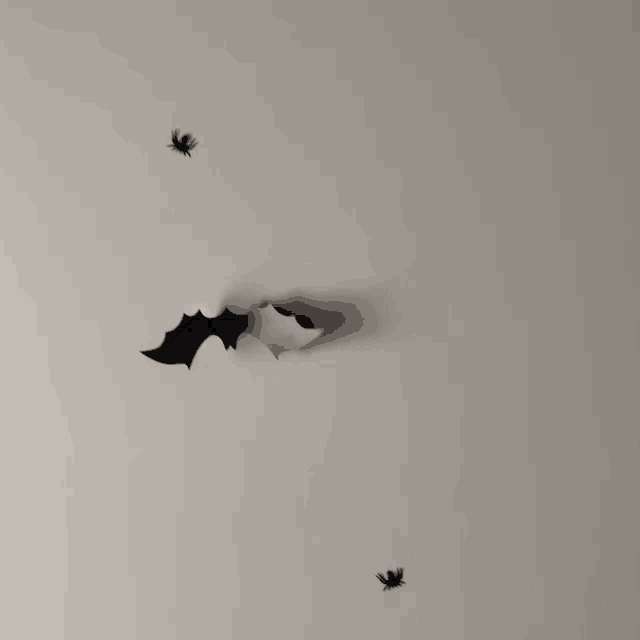 a bat is flying through a hole in the ceiling