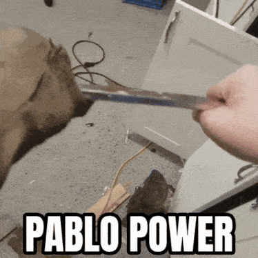 pablo power is written on a picture of a person cutting something