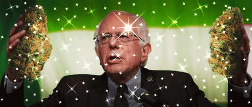 Bernie Sanders 420 GIF - Bernie Sanders 420 Legalize GIFs