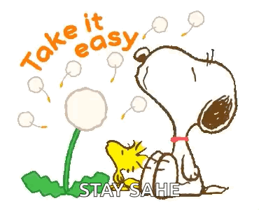 Snoopy Takeiteasy GIF