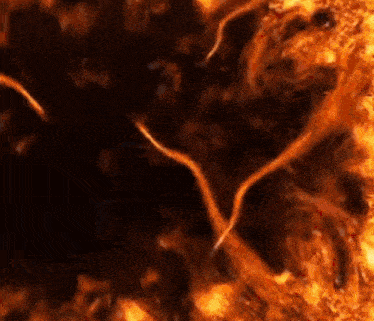a close up of the sun 's rays coming out of the center of the sun .