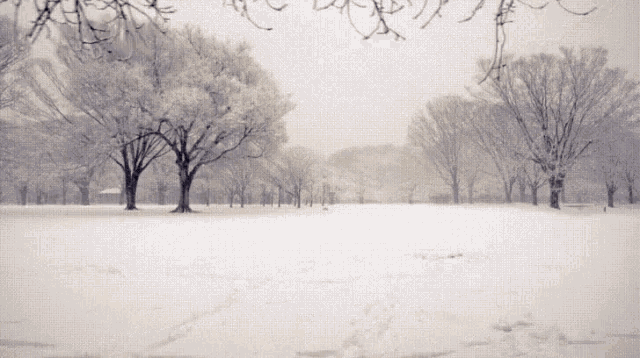 two people are walking down a snow covered path