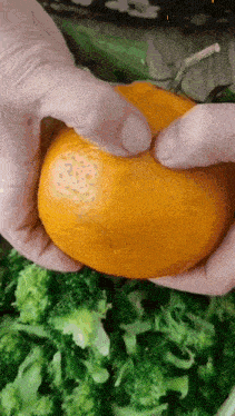 a person is holding a large orange in their hands over a bowl of broccoli .