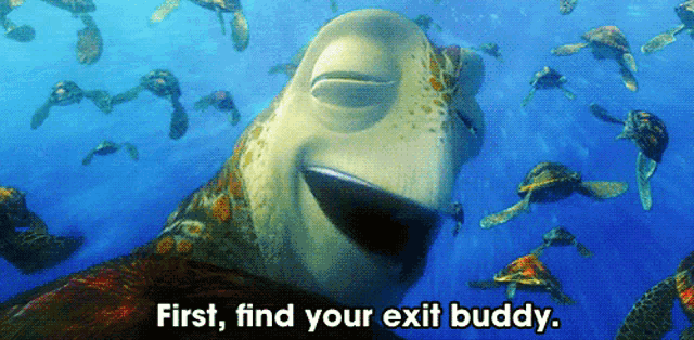 a group of sea turtles in the ocean with the words first find your exit buddy below them