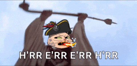 a cartoon of a cat wearing a pirate hat with the words h'rr e'rr