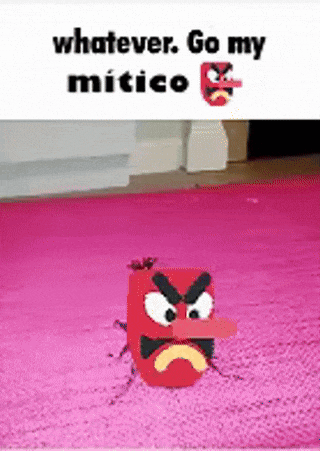 a red angry bird is sitting on a pink rug with the words whatever go my mitico above it